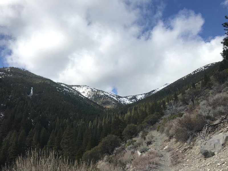 Trail is a gentle ascent for first 3 miles, going up and into the mountains. Lots of switchbacks.