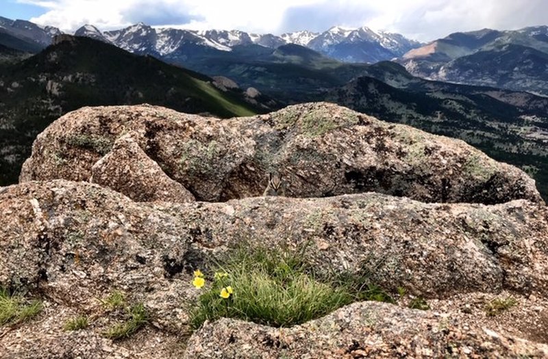 Lily Mountain Trail, view from the summit.  July 2019