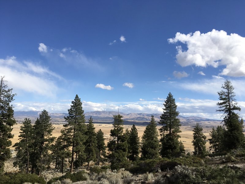 Jobs Peak Trail. About 1-2 miles in. The beauty if this trail is in the vistas of Carson Valley and views of the  Eastern Sierras.  Go on a day with cumulous clouds in the sky. The desert brush is gorgeous too.