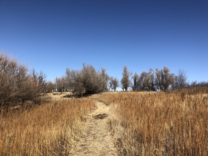 Approaching the trailhead.