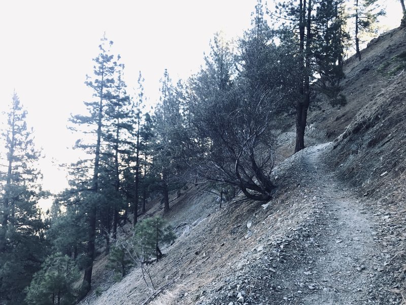 This photo is pretty indicative of trail width and steepness of hillside along trail. Plenty of room to walk. But if this concerns you, it is not the hike for you.