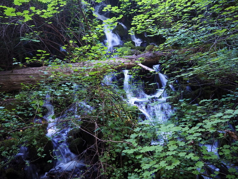 Diamond Creek Falls