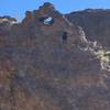 Goldstrike Canyon Trail: just happened to look up during a break and saw this little arch.