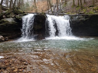 Frozen head 2024 state park hiking