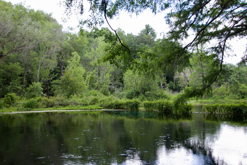 Ichetucknee Springs Blue Hole