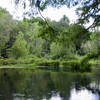 Ichetucknee Springs Blue Hole