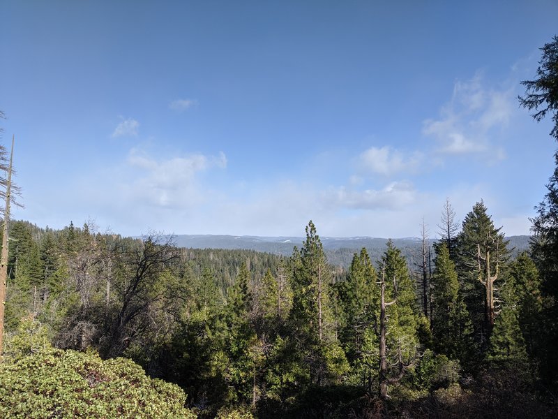 Forest valley view from ridge lookout