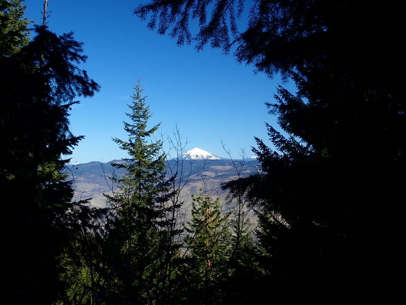 Mount McLoughlin from the Upper Eastview Trail