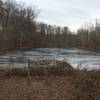 Pond close to the trail, a very peaceful place.