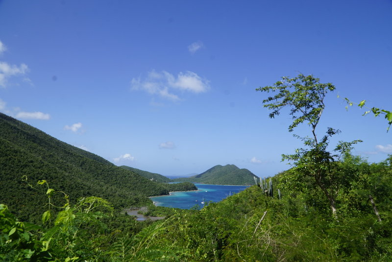 View in to Leinster Bay.