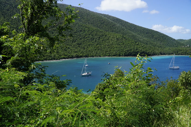 View of Leinster Bay from the trail to the ruins.