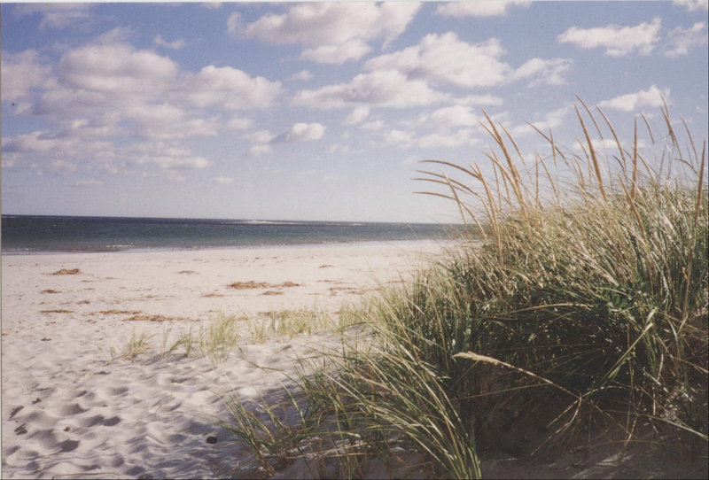 Crane Beach ipswich