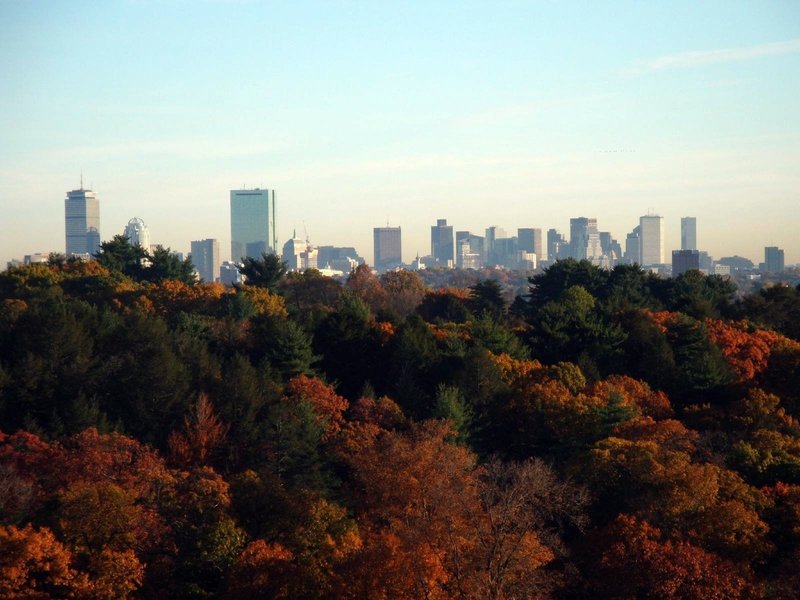 Boston Skyline from summit of Peters Hill