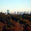 Boston Skyline from summit of Peters Hill