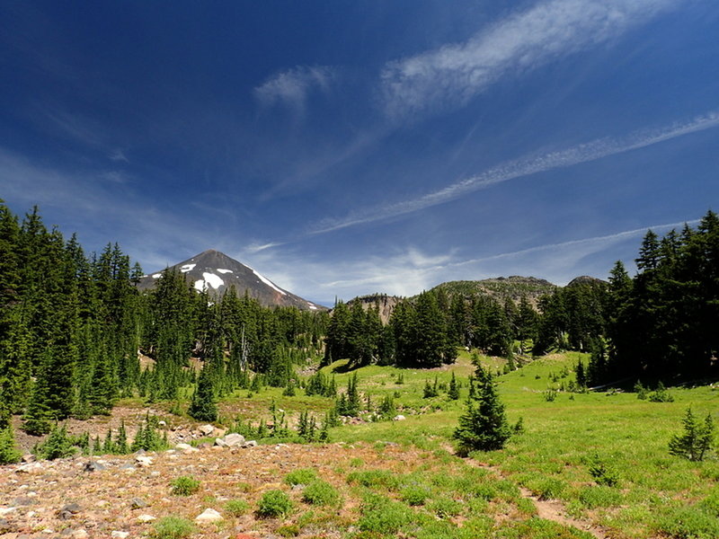 Where the traverse joins the PCT on the west side of the crest.