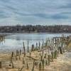 Remnants of a dock.