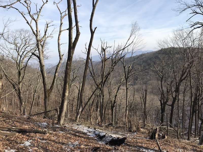 Winter view from the Rich Hole Trail north towards Elliot Knob.