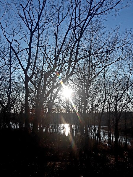 Afternoon sun on the pond.