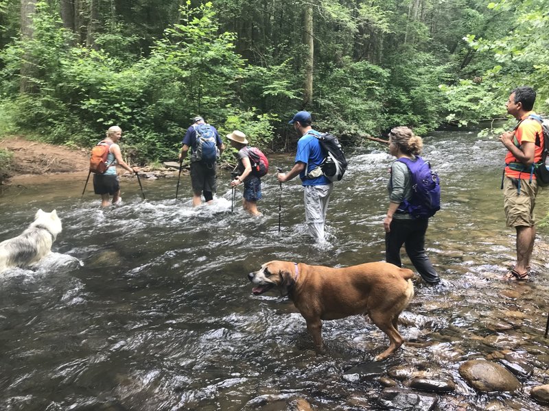 One of many water crossings on the North River Gorge Trail.