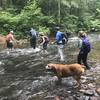 One of many water crossings on the North River Gorge Trail.