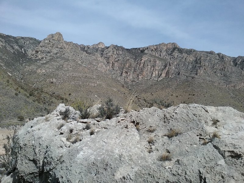 Looking north on the trail.