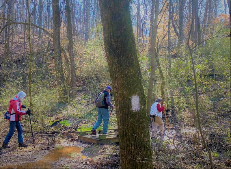 The East Lakeshore Trail is well balazed with a white rectangle.