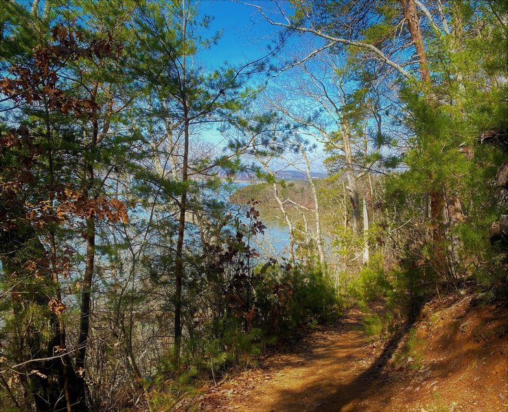 The trail sometimes is a few feet from the lakeshore and other times you climb a high bluff above the lake.