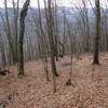 Campsite 2/3 up mountain, as seen from trail.