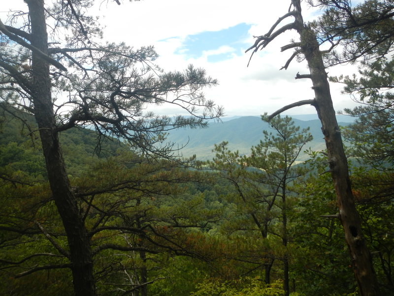 View northeast from Crane Trail near summit of Rough Mountain.