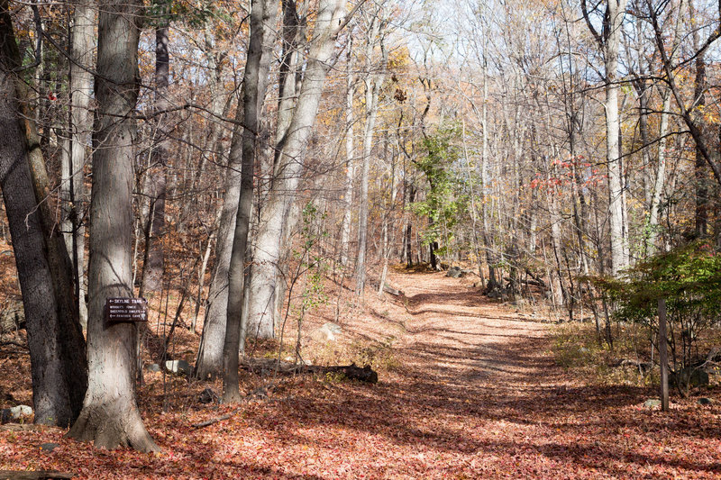 Middlesex Fells Reservation