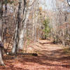 Middlesex Fells Reservation