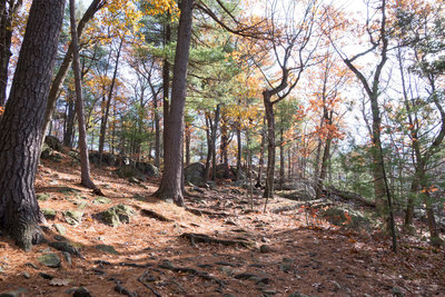 Middlesex Fells Reservation