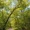 Middlesex Fells Reservation