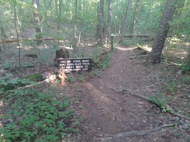 End and beginning of trails.