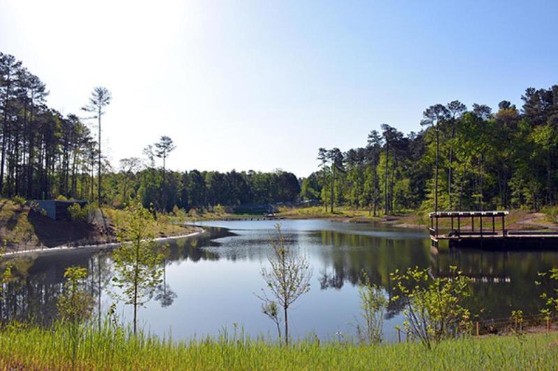 View of Duke Pond from Erwin Road