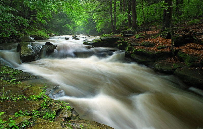 Upper Rock Run Gorge (3)