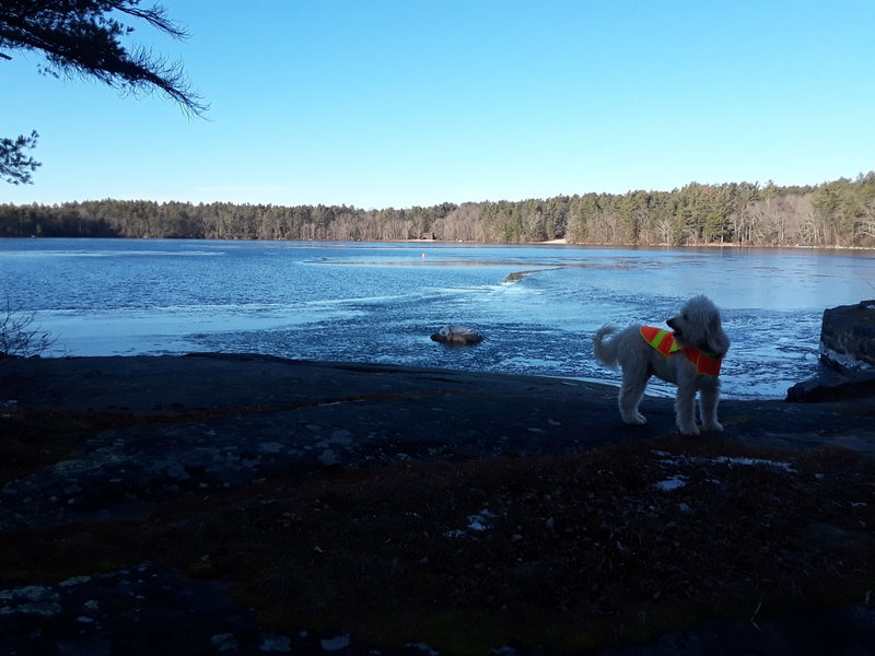 Jack reaches the south-east shore of Yawgoog.