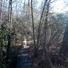 A nice trail around Hidden Lake with bridges and steps.