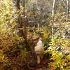 The basic condition of the trail looping around the pond is low and close to the water.