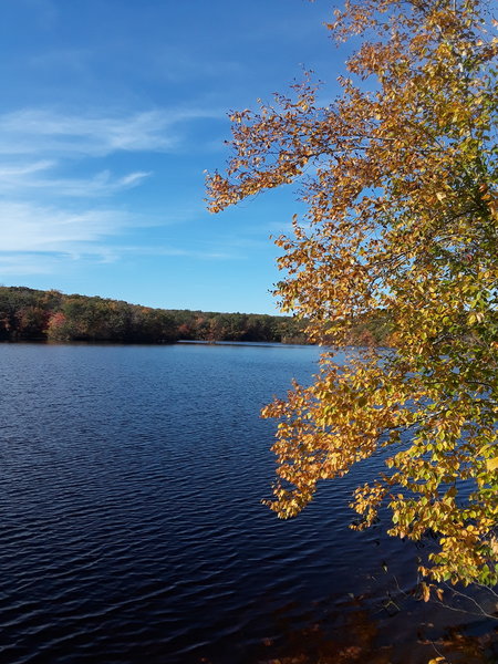 A blue autumn day on the pond.