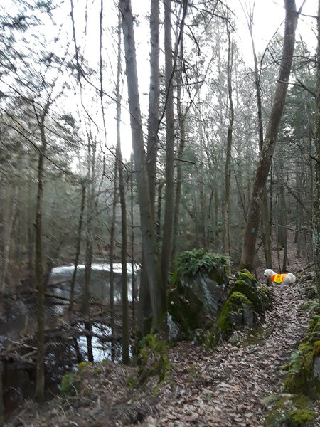 Hiking along the canyon up to Green Falls.