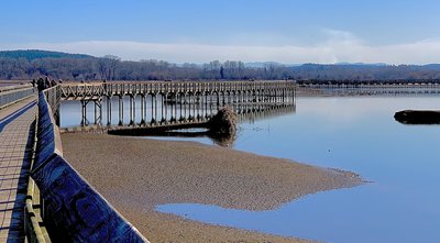 Nisqually Delta, Washington