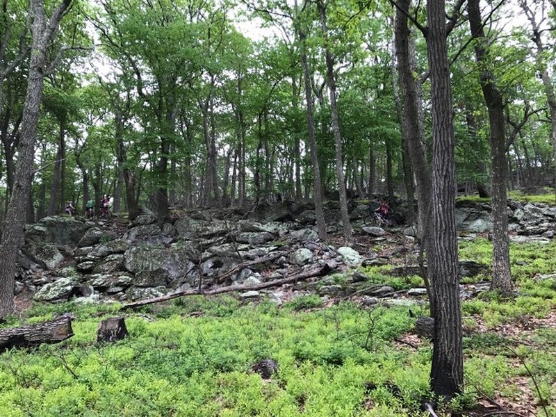 Enormous rock outcroppings on Rattlesnake Ridge.