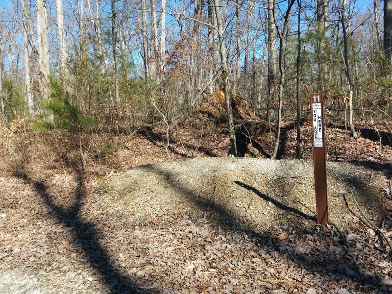 Intersection of Flower Gap loop with Deam Lake Loop.