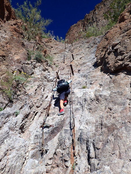 Climbing the cables on the Sunset Vista Trail