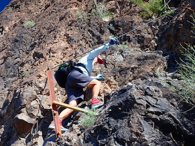 Climbing the cables below the bowl