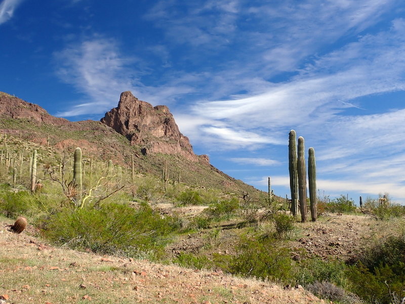 Picacho Peak from the Sunset Vista Trail