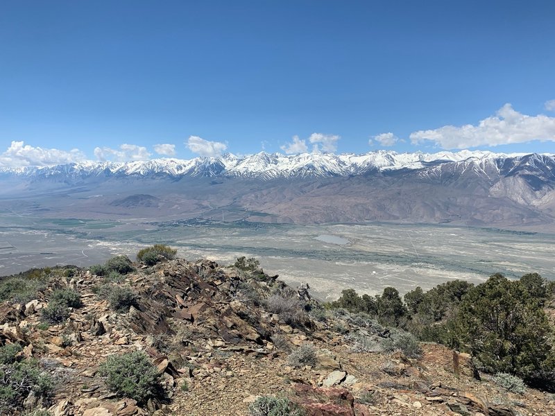 view of the sierra from black mountain summit