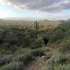 Hiking down one of the switchbacks.