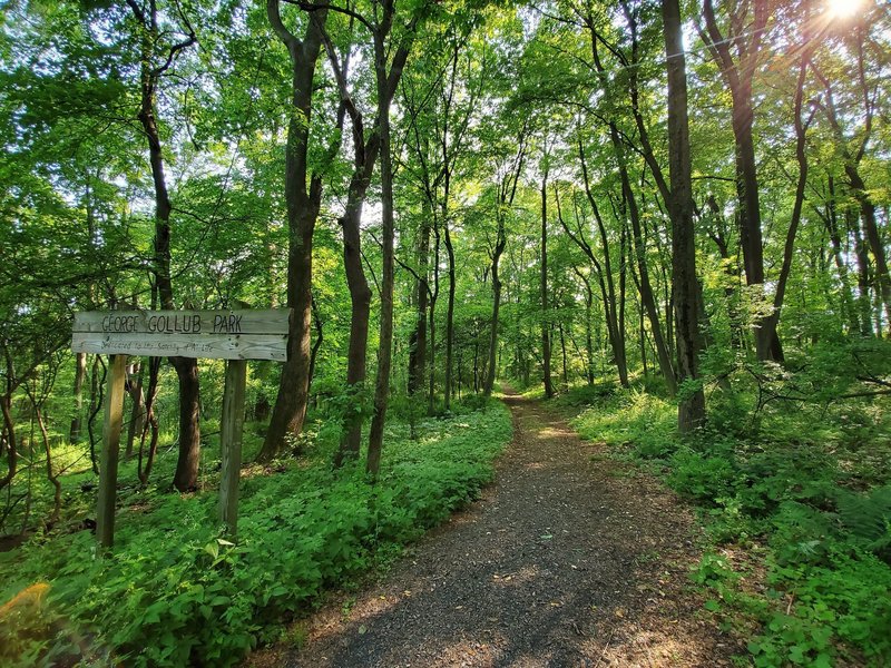 Gollub Park Entrance